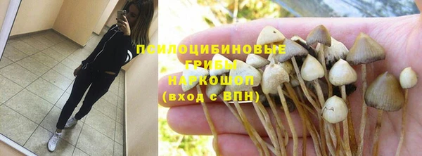 мяу мяу мука Балабаново