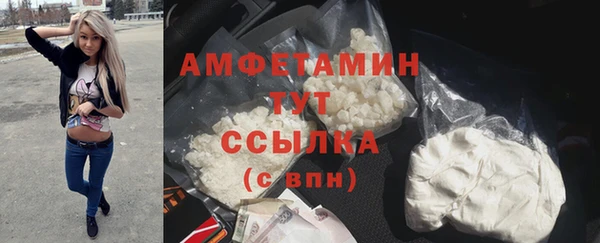 гидра Балахна