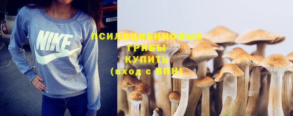 мяу мяу мука Балабаново
