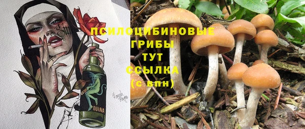 мяу мяу мука Балабаново