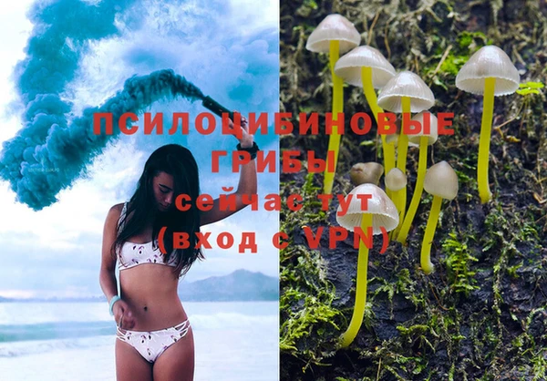 мяу мяу мука Балабаново